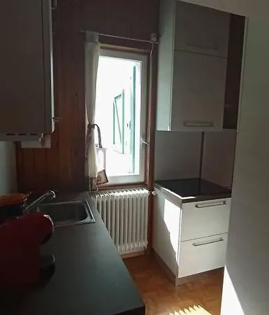 Zam Hus, Monolocale Walser Apartament *